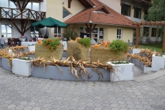 falunap_szombat_du_este_20180927_121