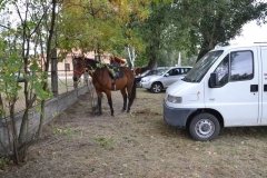 falunap_szombat_du_este_20180927_128