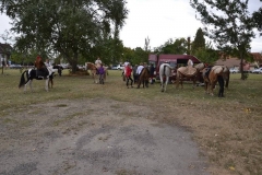 falunap_szombat_du_este_20180927_130