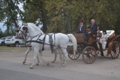 falunap_szombat_du_este_20180927_135