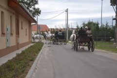 falunap_szombat_du_este_20180927_136