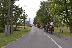 falunap_szombat_du_este_20180927_152