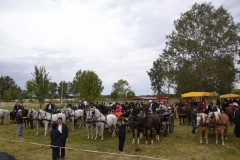 falunap_szombat_du_este_20180927_203