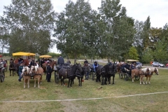 falunap_szombat_du_este_20180927_204