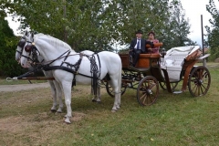 falunap_szombat_du_este_20180927_205