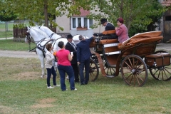 falunap_szombat_du_este_20180927_210