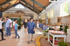 falunap_kiallitas_20180927_255