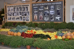 falunap_kiallitas_20180927_280