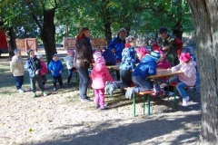DSC01008_800x600