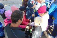 DSC01020_800x600