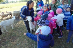 DSC01051_800x600