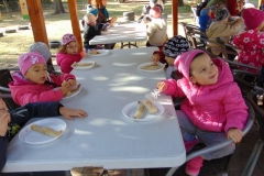 DSC01073_800x600