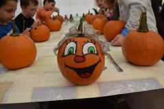 DSC_0494_800x533