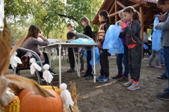 DSC_0536_800x533