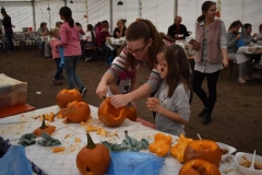 DSC_0646_800x533