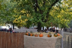 DSC_6040_800x518