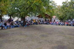DSC_6137_800x533