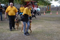 DSC_6142_800x533