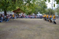 DSC_6144_800x533