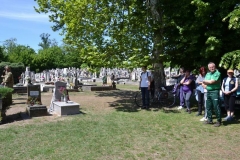 DSC_0431_800x525