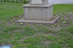 DSC_0713_800x533