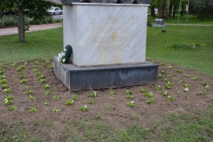 DSC_0717_800x533