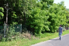 DSC_1411_800x533