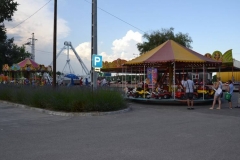 DSC_1972_800x499