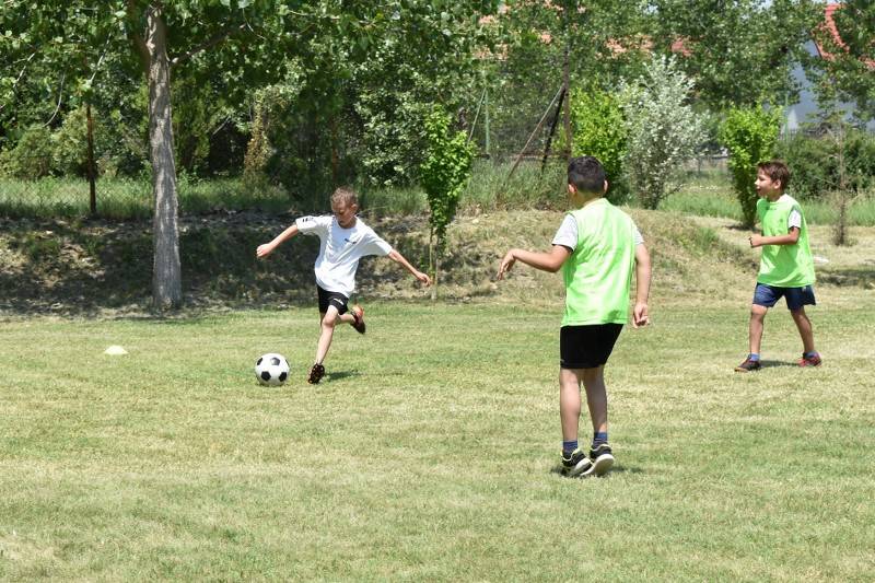 DSC_0199_800x533