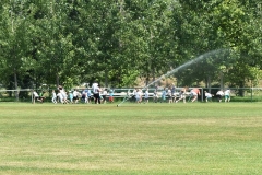 DSC_0170_800x533