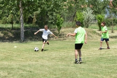 DSC_0199_800x533