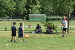 DSC_0201_800x533