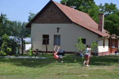 DSC_2387_800x533