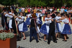 DSC_2890_800x533