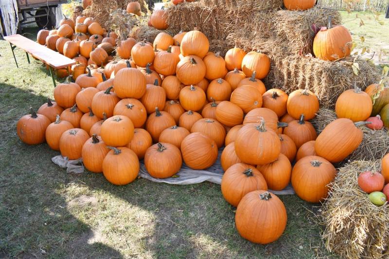 DSC_2099_1280x854