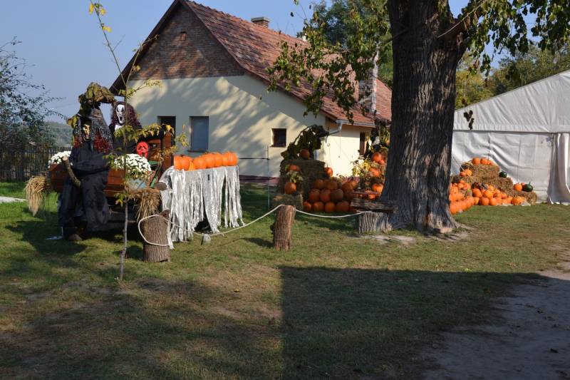 DSC_4745_1280x853
