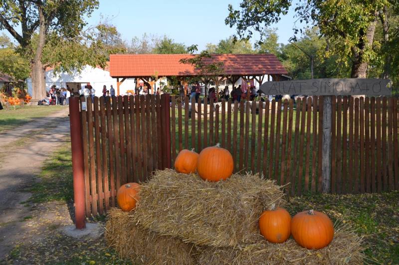 DSC_4784_1280x853