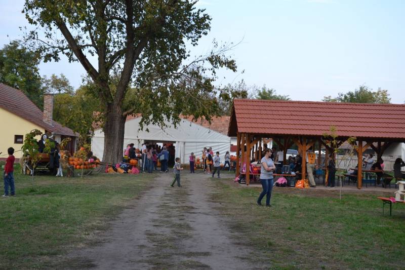 DSC_4892_1280x853