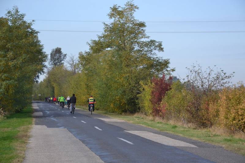 forraskut_027