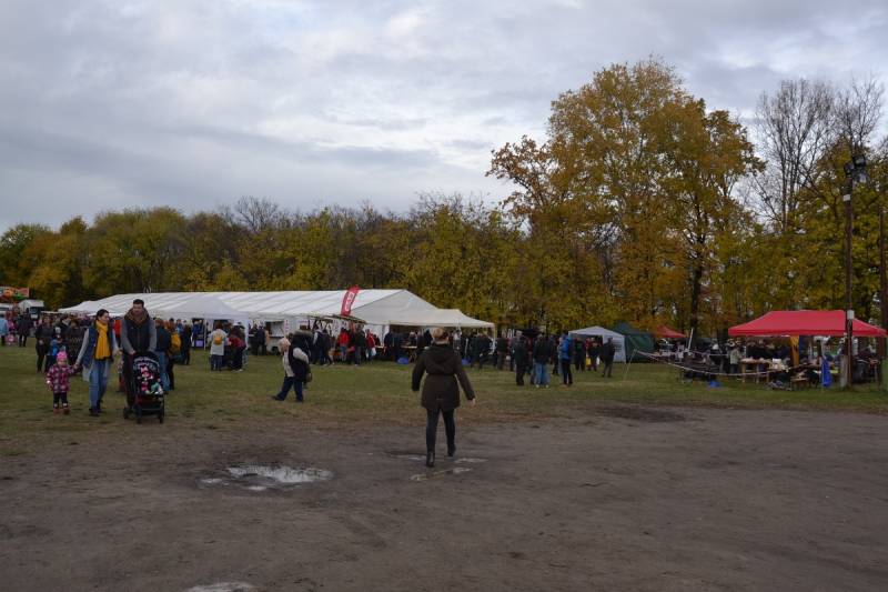 DSC_5883_1200x800