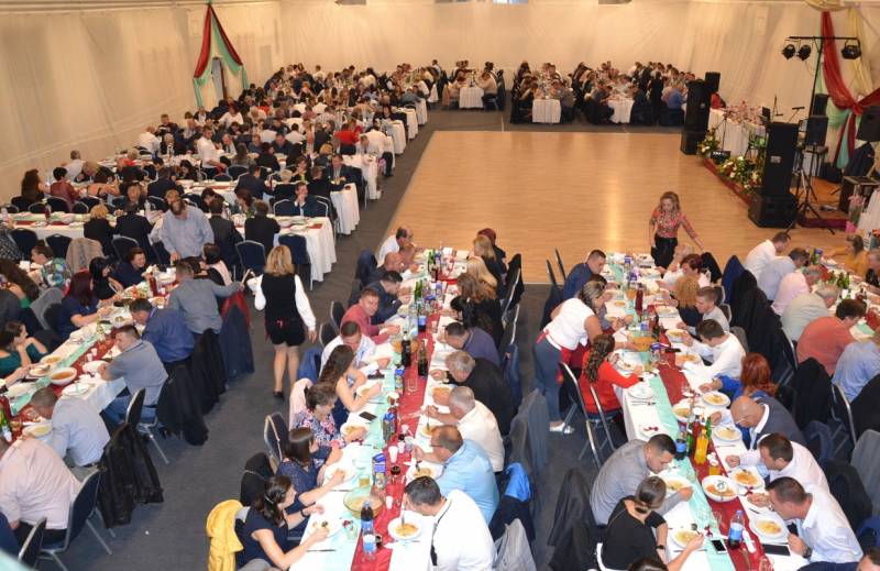 DSC_6262_1234x800