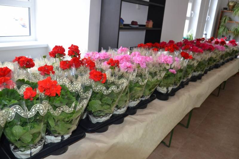 DSC_9186_1024x683