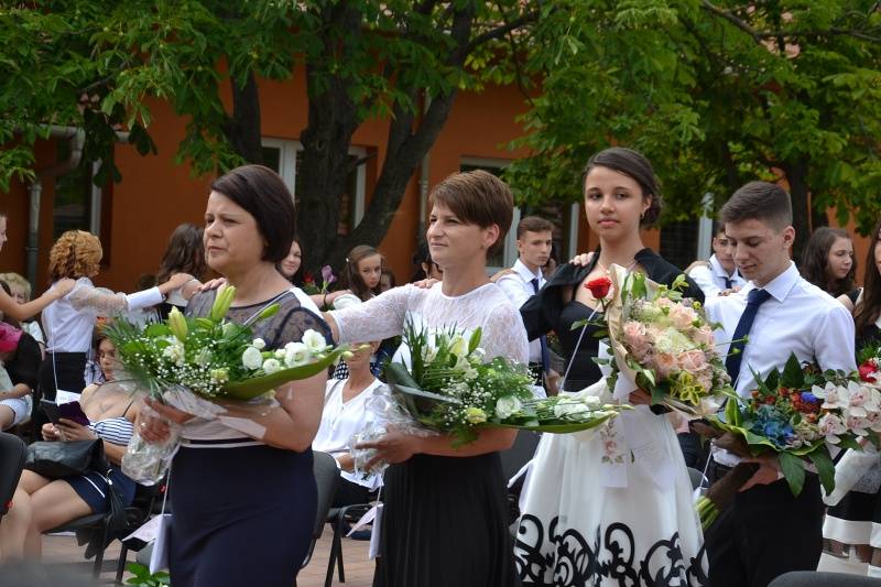 DSC_0568_800x533