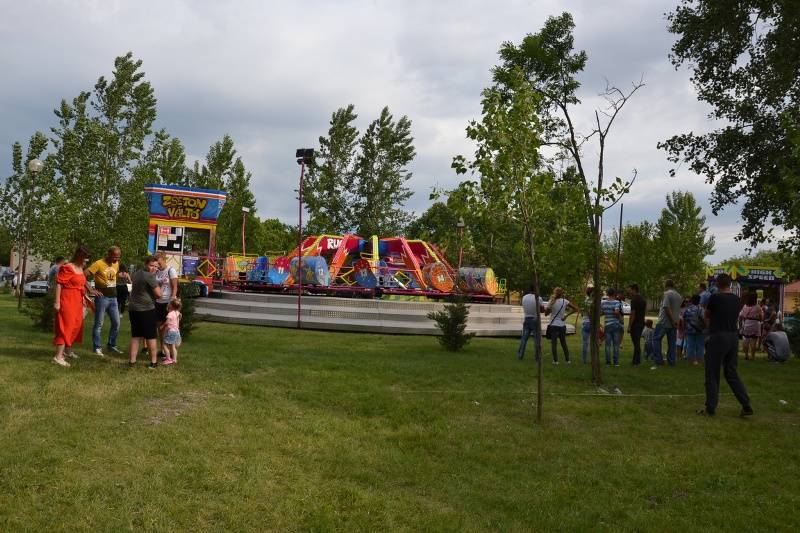 DSC_0445_800x533