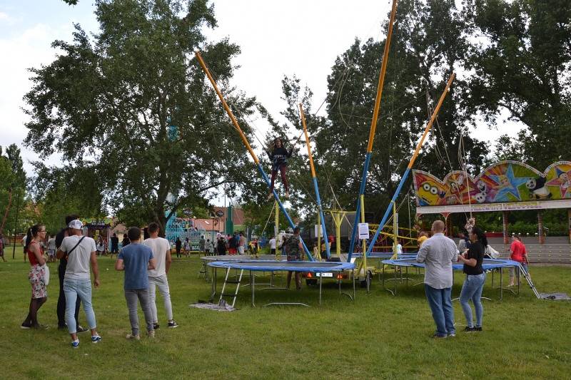 DSC_0466_800x533