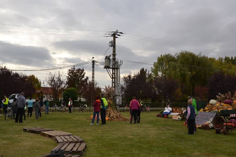 DSC_1965_800x533