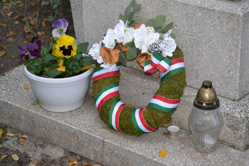 DSC_2041_800x533