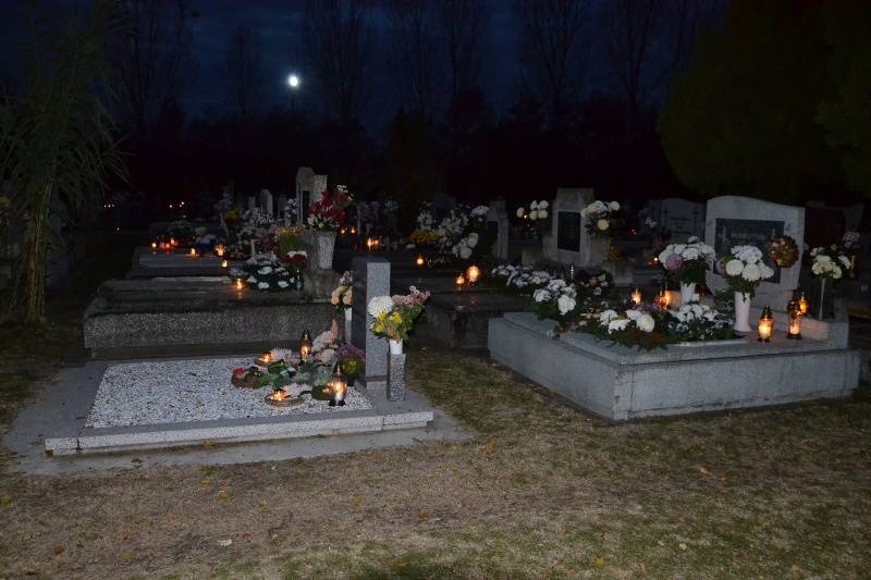 DSC_2094_800x533