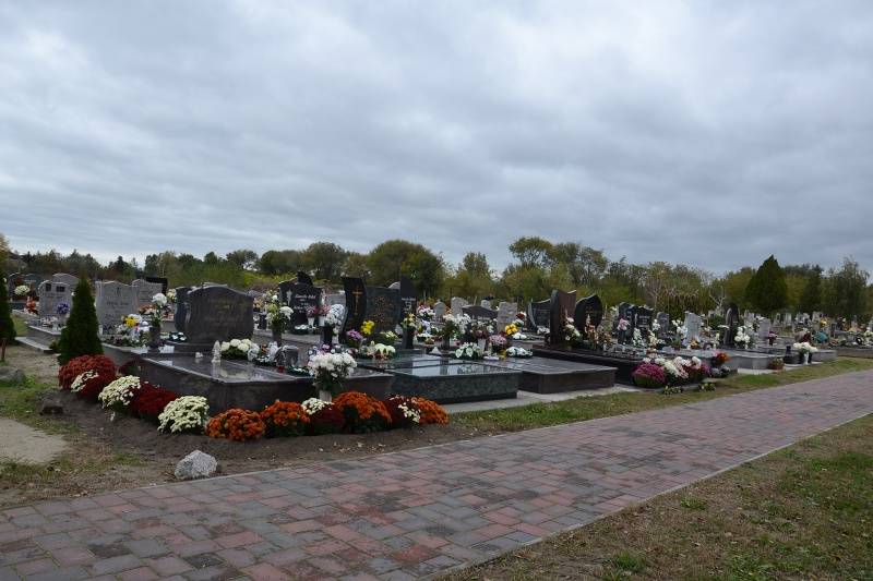 DSC_2080_800x533