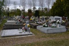 DSC_2072_800x533